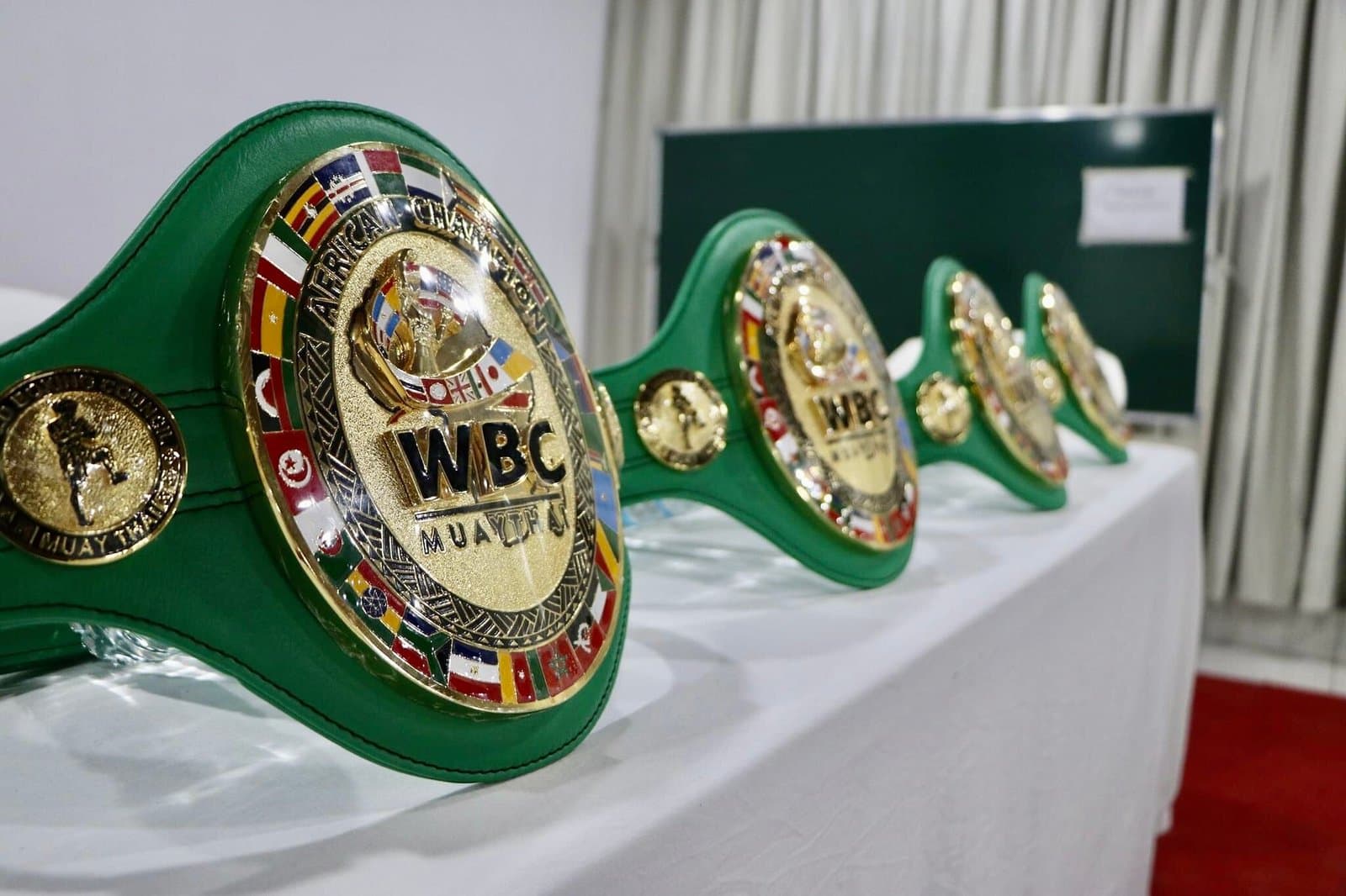 WBC muaythai e sua representação no Brasil