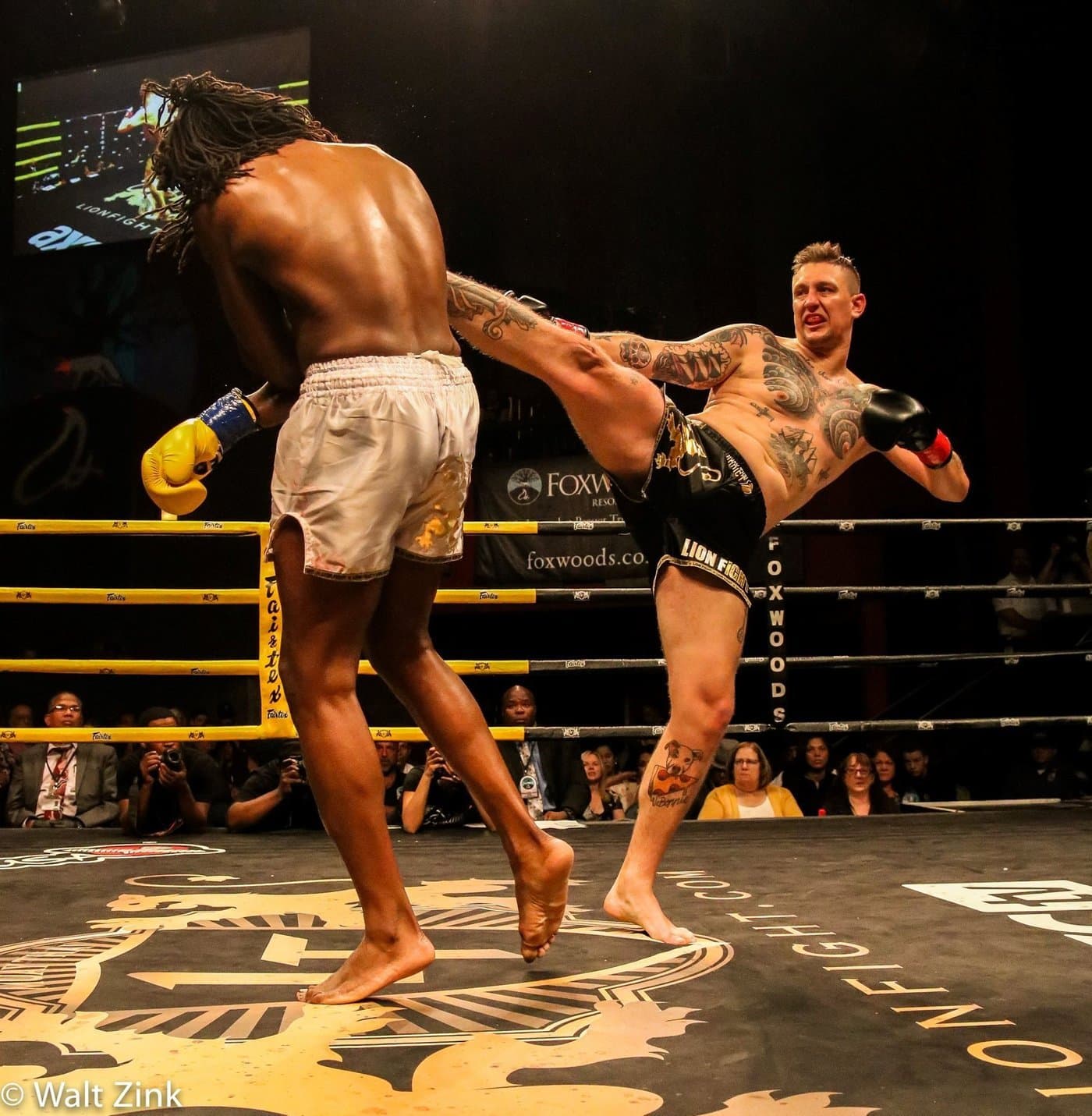 Finais dos GP's Golden e Lion Fight acontecem hoje